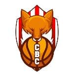 Escudo de CB CARDEDEU TECNIDA - NEGRE