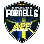 Escudo de AE FORNELLS TEG